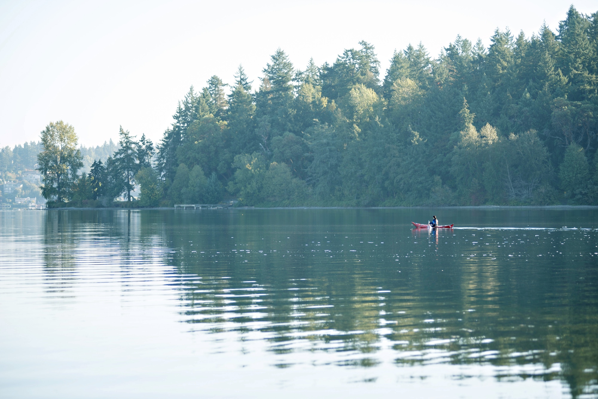 woman kayaking with trees reflected in a lake